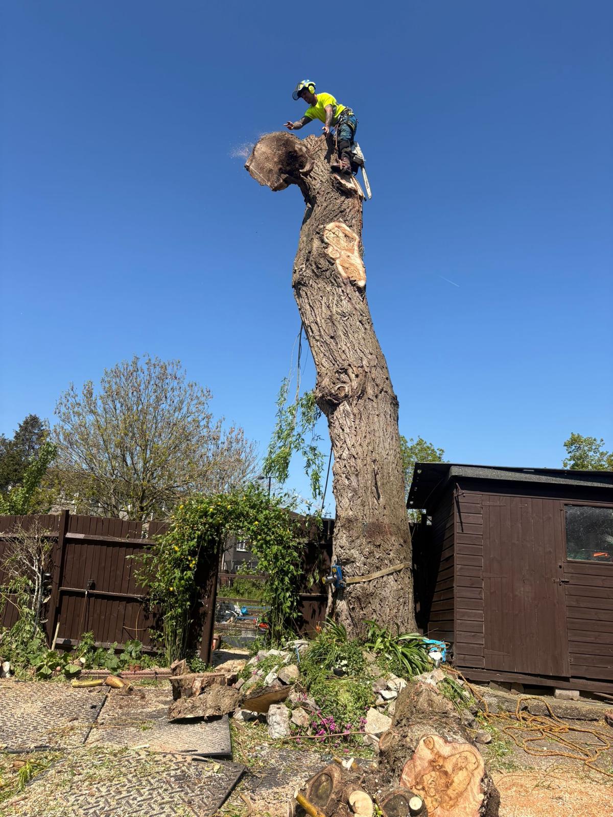Commercial tree work on a managed site