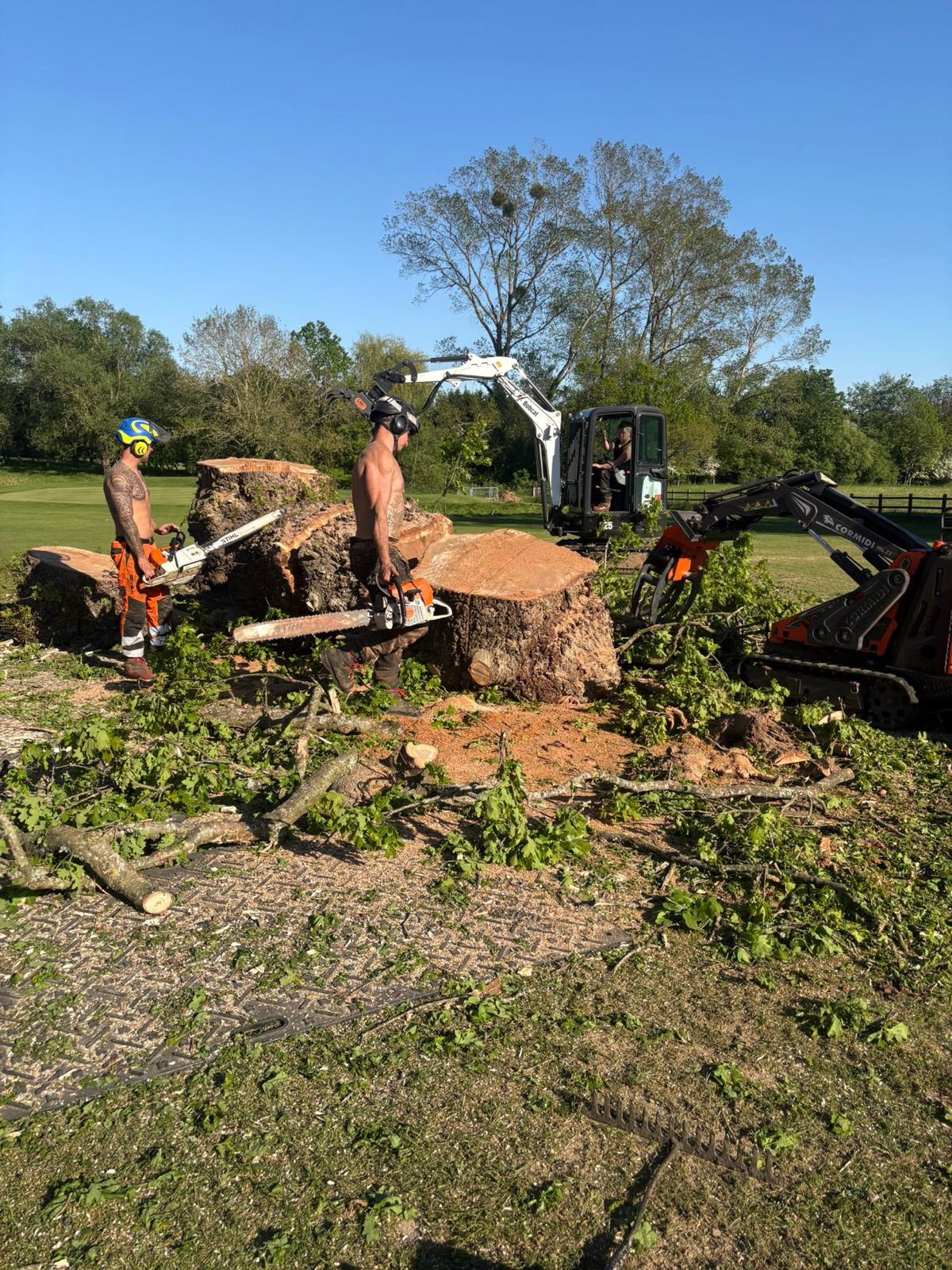 Ground crew processing large timber with a Cormidi loader on a golf course