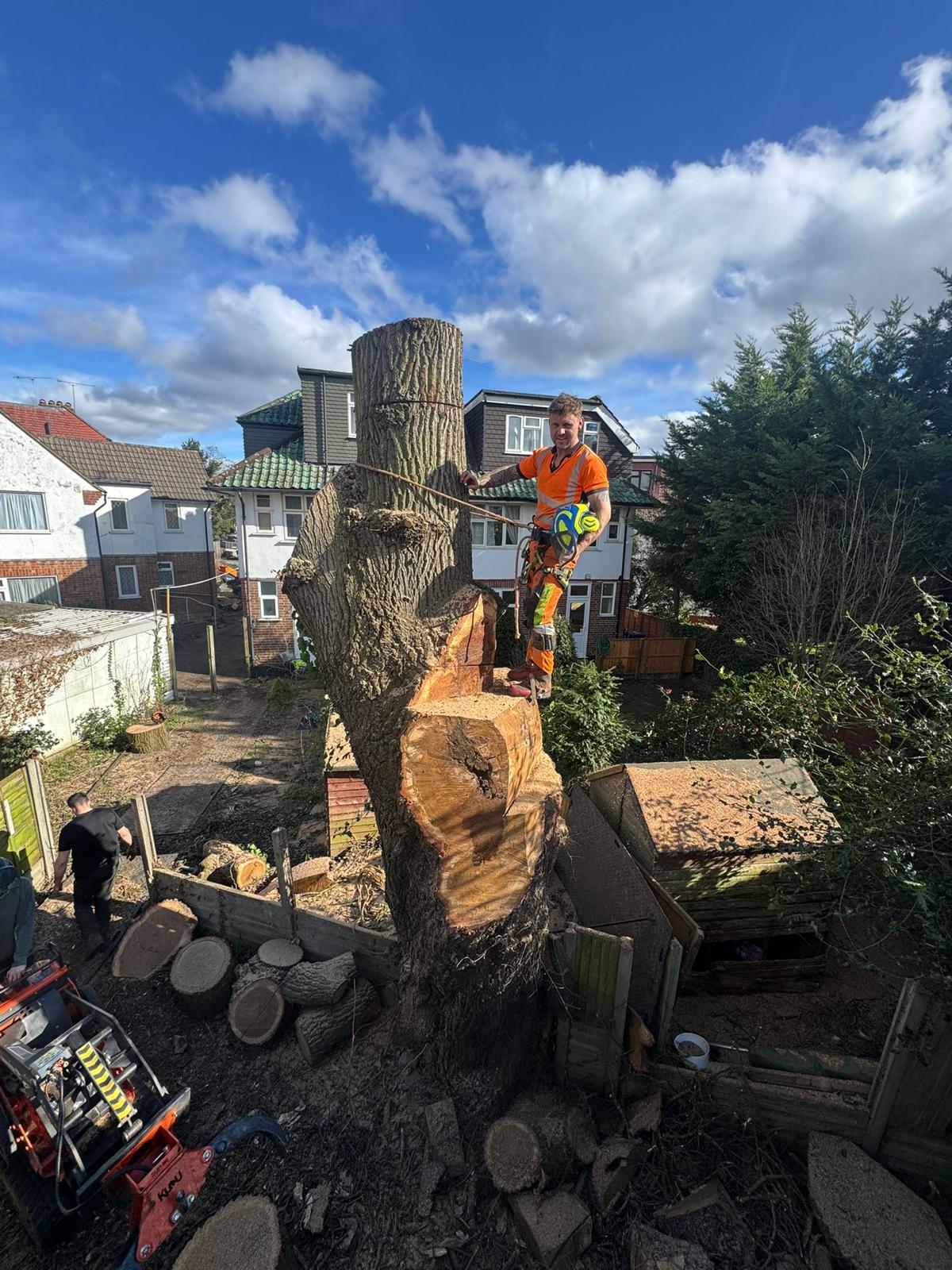 Arborist standing on a large trunk section high above a garden shed