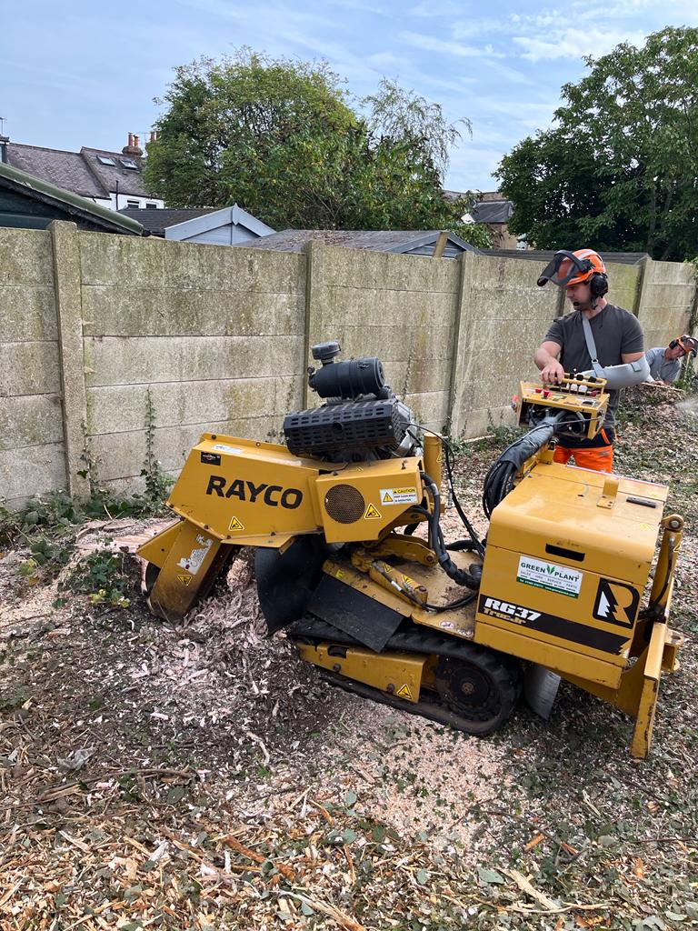 Rayco RG37 stump grinder chipping down a stump on-site