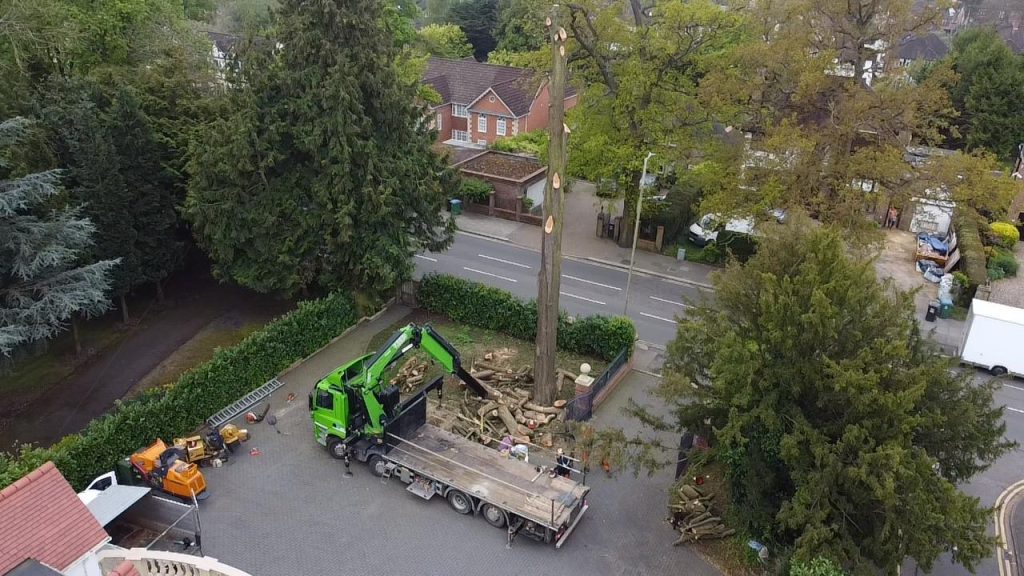 Aerial view of a green crane loading timber onto a lorry after a tree removal