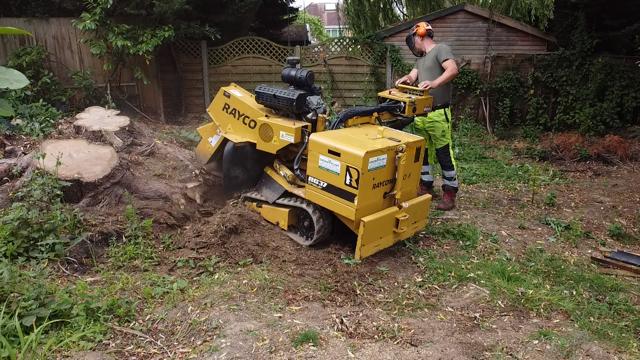 Rayco stump grinder in use in a Hertfordshire back garden